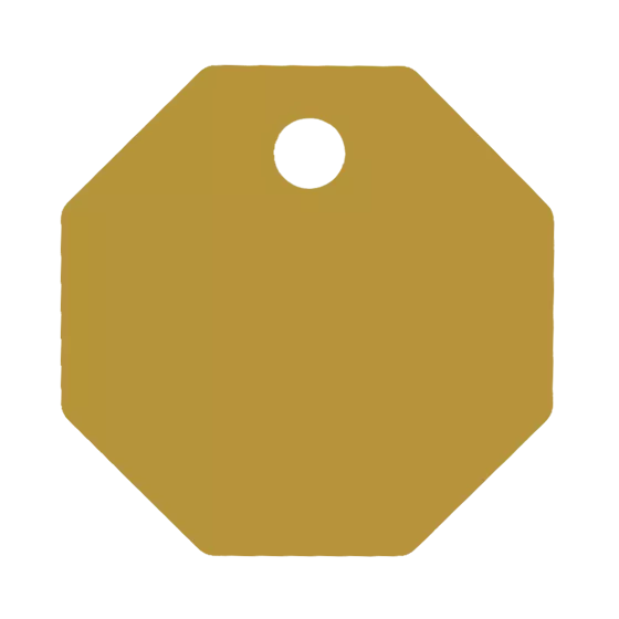 Médaille Octogonale