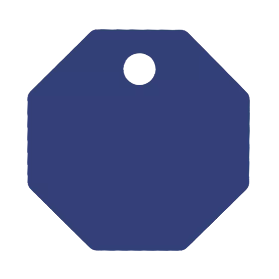 Médaille Octogonale