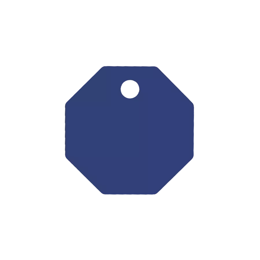 Médaille Octogonale