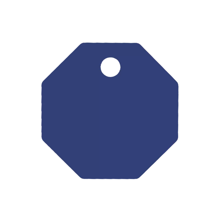 Médaille Octogonale