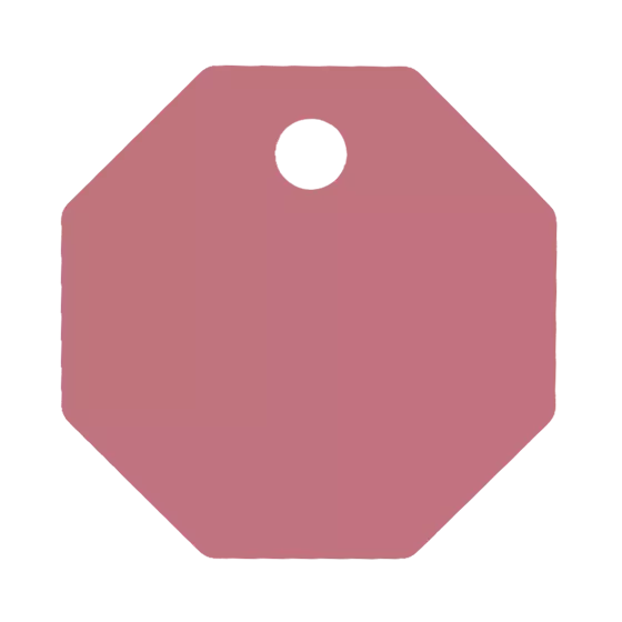 Médaille Octogonale