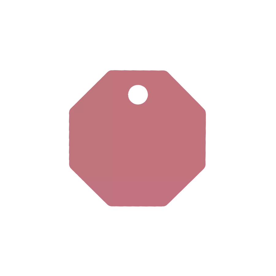 Médaille Octogonale