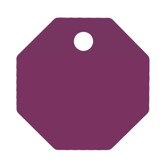 Médaille Octogonale