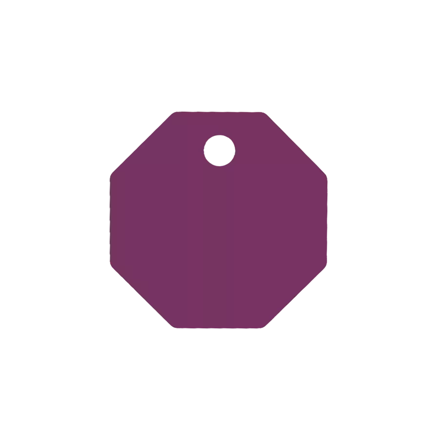 Médaille Octogonale