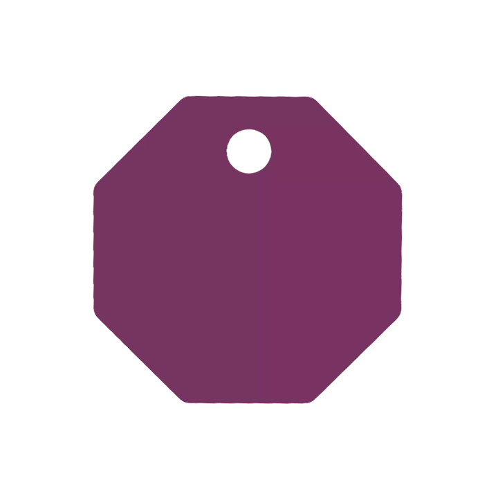 Médaille Octogonale