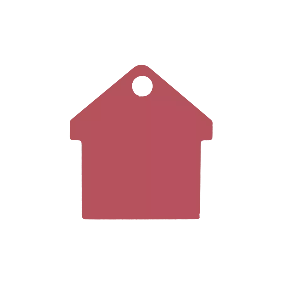 Médaille chien  Alu Maison