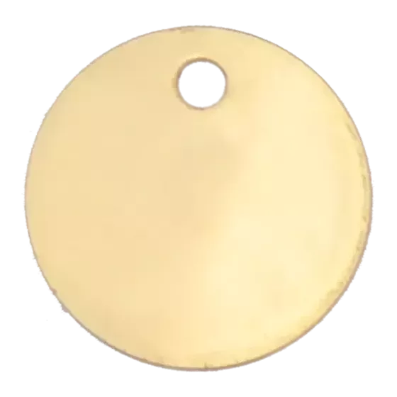 Médaille pour chien en Laiton Nickelé diam 25