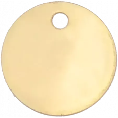 Médaille pour chien en Laiton Nickelé diam 25