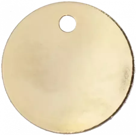 Médaille pour chien en Laiton Nickelé diam 33