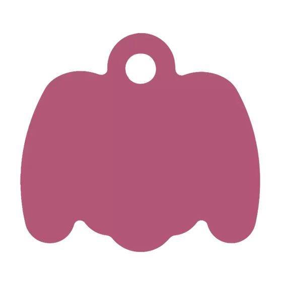 Médaille Octogonale Tête de chien