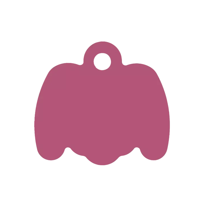 Médaille Octogonale Tête de chien