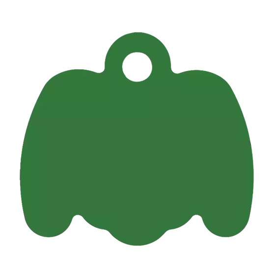 Médaille Octogonale Tête de chien