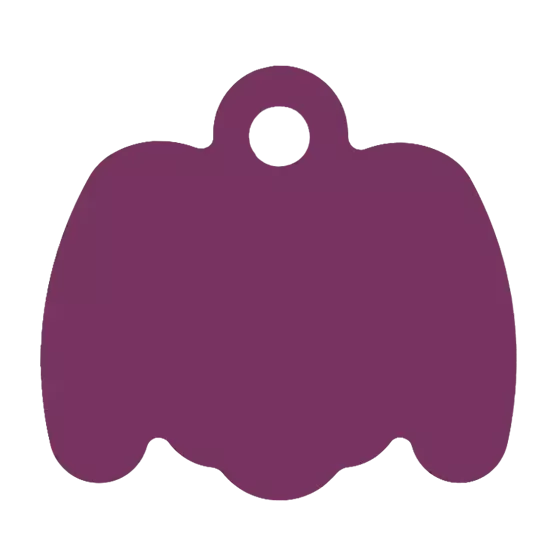 Médaille Octogonale Tête de chien