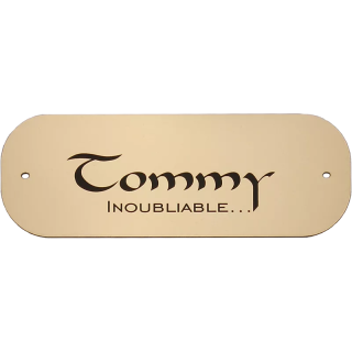 Petite plaque pour chien chat or brossé