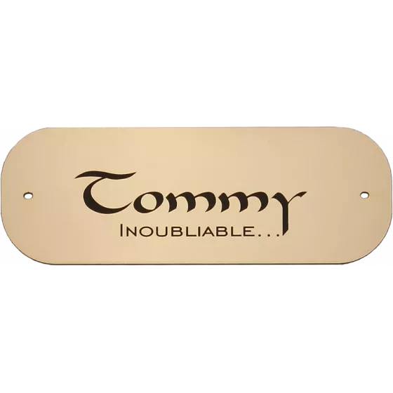 Petite plaque pour chien chat or brossé