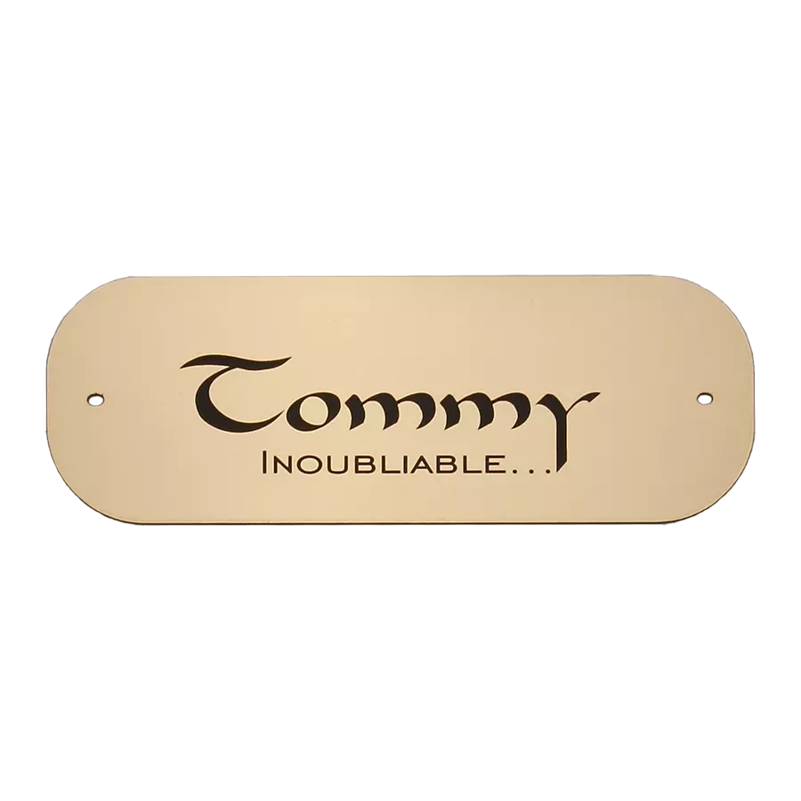 Petite plaque pour chien chat or brossé