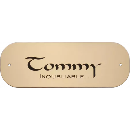 Petite plaque pour chien chat or brossé