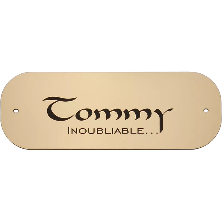 Petite plaque pour chien chat or brossé