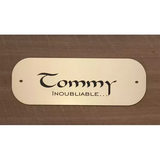 Petite plaque pour chien chat or brossé