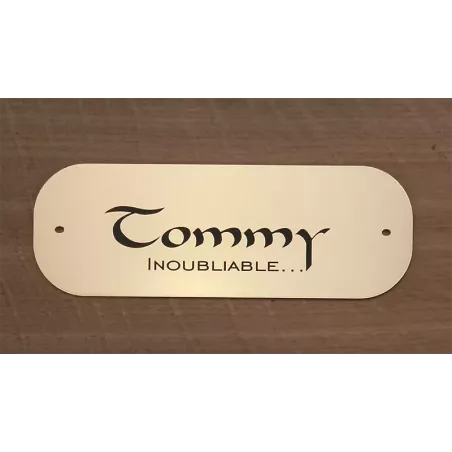 Petite plaque pour chien chat or brossé