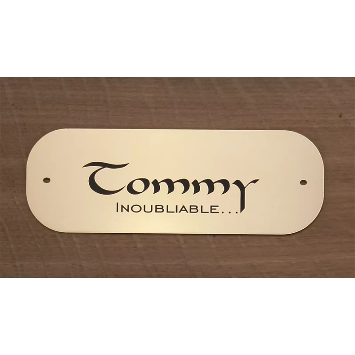 Petite plaque pour chien chat or brossé