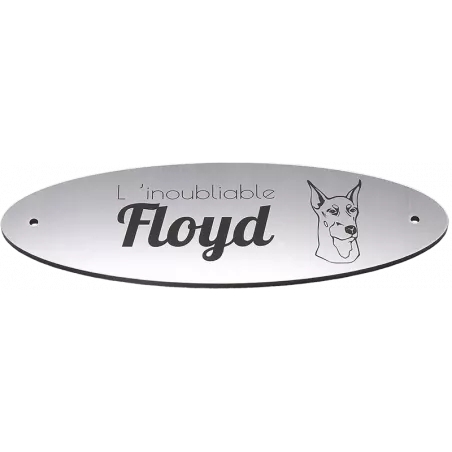Plaque Funéraire chien chat ovale Alu brossé