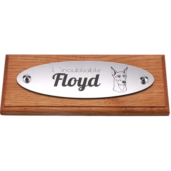 Plaque Funéraire chien chat ovale Alu brossé