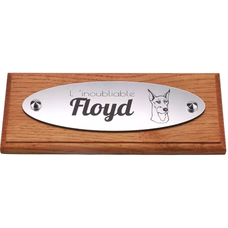 Plaque Funéraire chien chat ovale Alu brossé