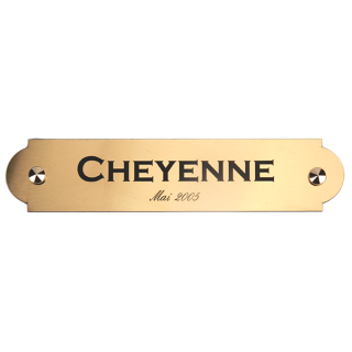 Plaque de box or brossé - D