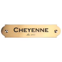 Plaque de box or brossé - D