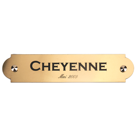 Plaque de box or brossé - D