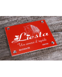 Plaque de box rouge - A1