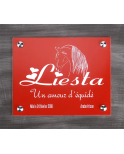 Plaque de box rouge - A1