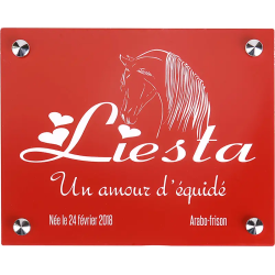 Plaque de box rouge - A1