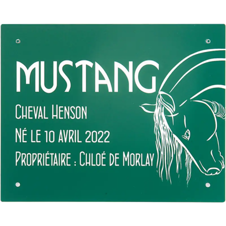 Plaque de box verte - A1