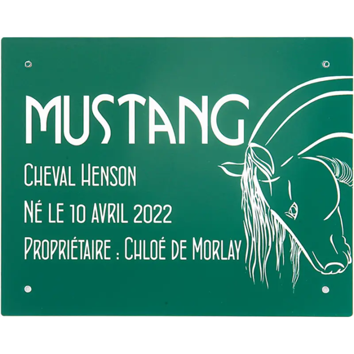 Plaque de box verte - A1