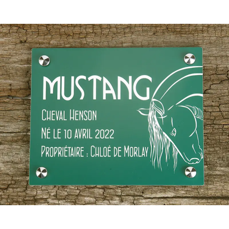 Plaque de box verte - A1