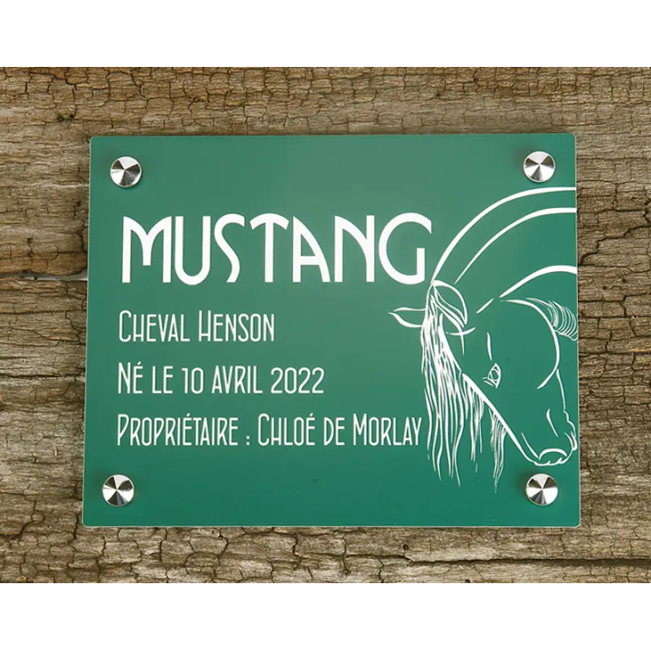 Plaque de box verte - A1