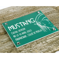 Plaque de box verte - A1