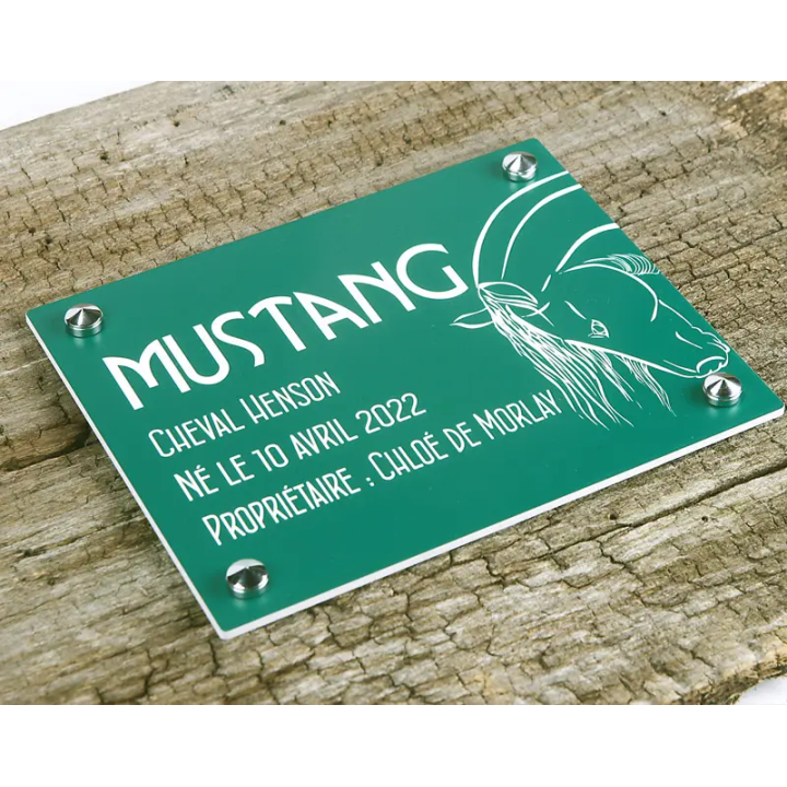 Plaque de box verte - A1