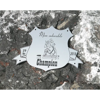 Plaque de box blason Alu brossé