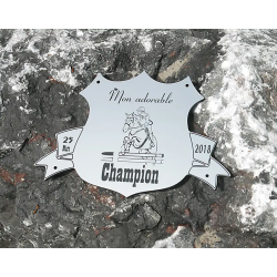 Plaque de box blason Alu brossé