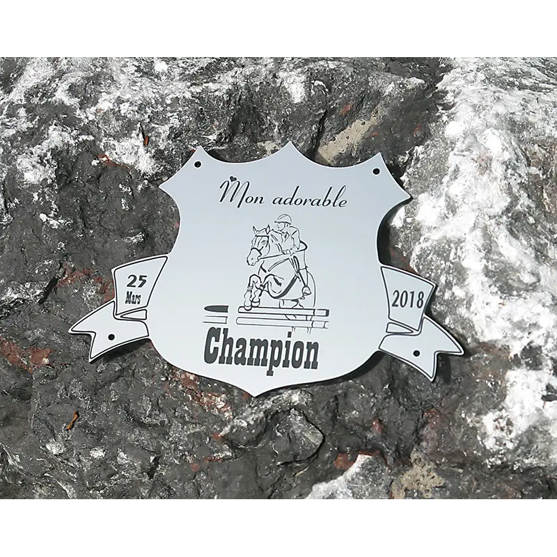 Plaque de box blason Alu brossé