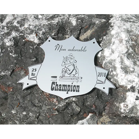 Plaque de box blason Alu brossé