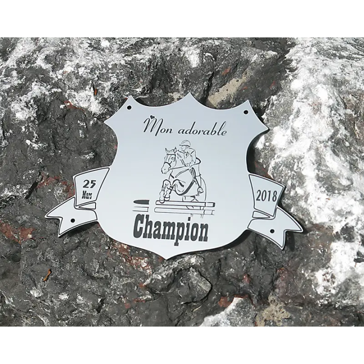 Plaque de box blason Alu brossé