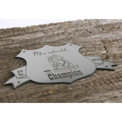 Plaque de box blason Alu brossé