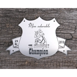 Plaque de box blason Alu brossé