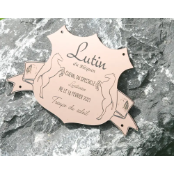 Plaque de box blason Cuivre brossé