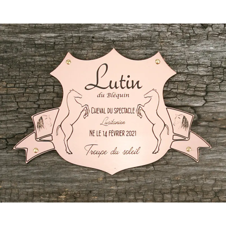 Plaque de box blason Cuivre brossé