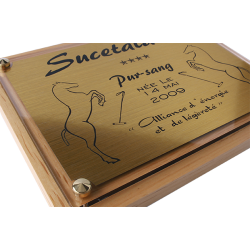 Plaque de Box Cheval Luxe Plexiglas et Or Brossé 180 × 240 mm | Plaque Écurie Élégante